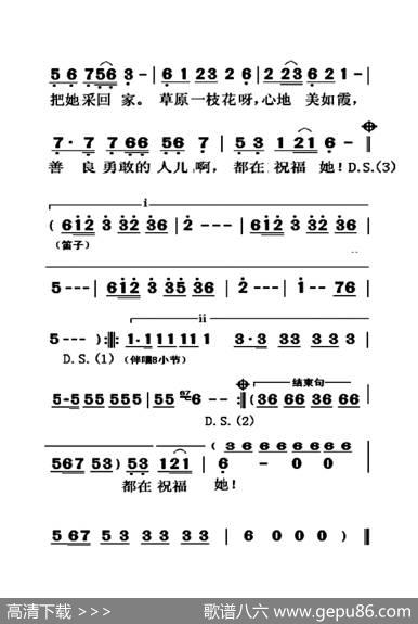 草原一枝花（大字老人适用） - 国风|国巍