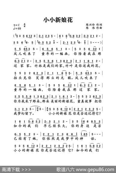 小小新娘花（大字老人适用） - 陈兴玲|陈伟