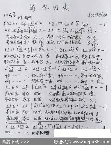 等你回家（孙卫东词曲） - 孙卫东|孙卫东