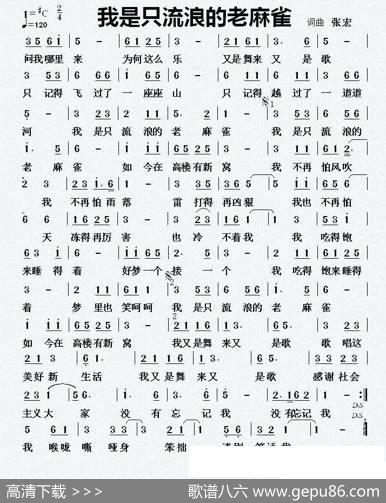 我是只流浪的老麻雀 - 张宏|张宏