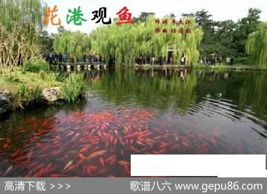 花港观鱼 - 李大江|任清彪