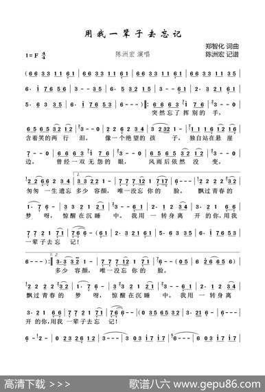 用我一辈子去忘记 - 郑智化|郑智化
