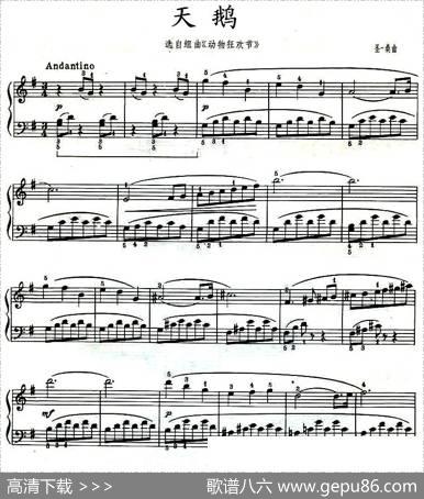 天鹅（选自组曲《动物狂欢节》）