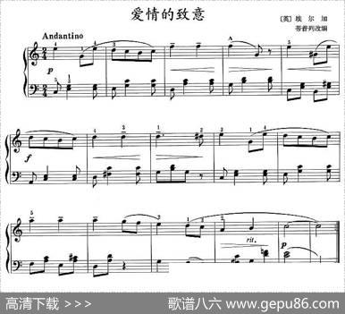 爱情的致意