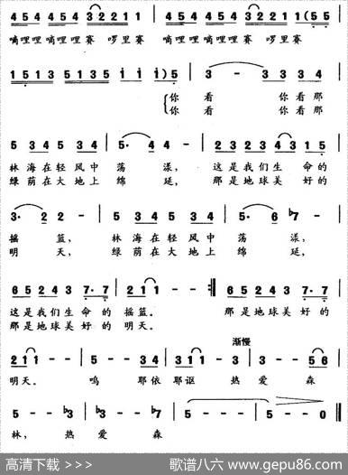 生命的摇篮 - 晓光|鹏来