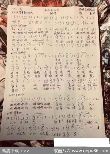 小小水仙花 - 毕健民楼勤|楼勤