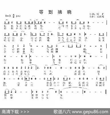 等到拂晓 - 野野|邱彦鸿