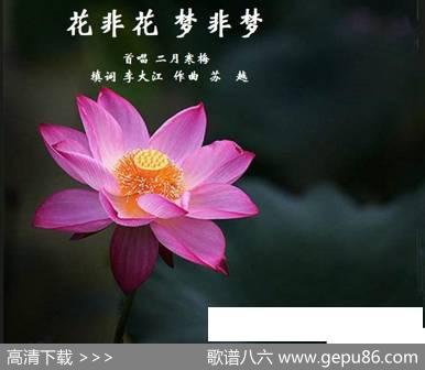 花非花梦非梦（填词） - 李大江填词|苏越