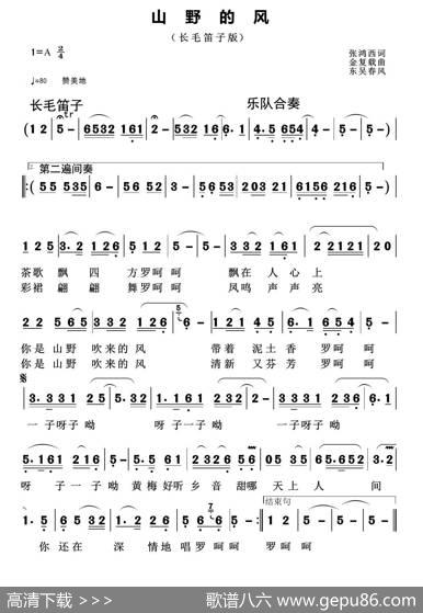 山野的风 - 张鸿西|金复载