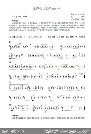 在那桃花盛开的地方（笛子演奏提示版）