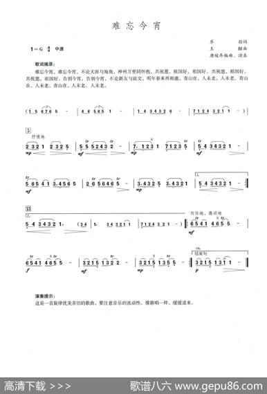 难忘今宵（笛子演奏提示版）
