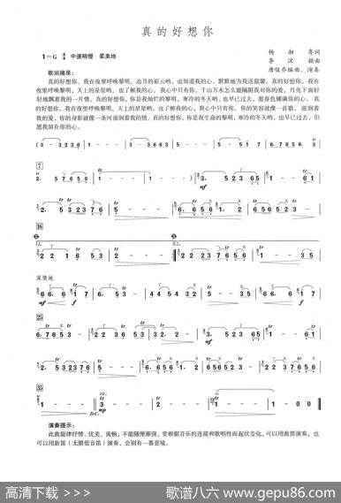 真的好想你（笛子演奏提示版）