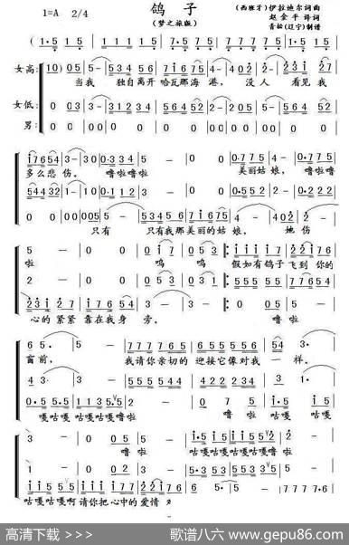 鸽子（梦之旅版） - 赵金平译词|伊拉迪尔