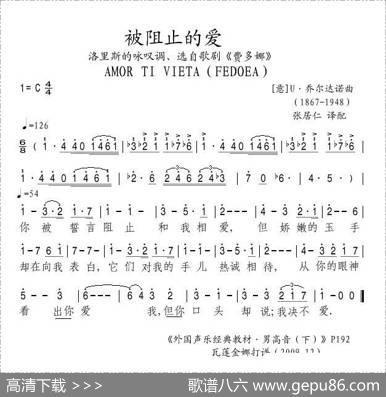被阻止的爱（正谱[意]）