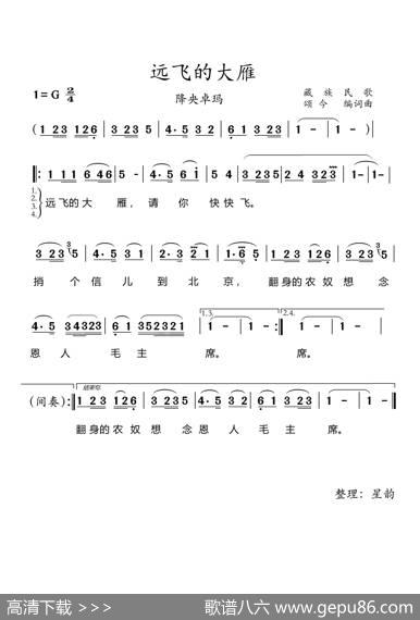 远飞的大雁（降央卓玛） - 刘延|徐大犹