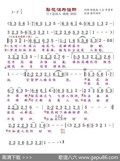 梨花泪为谁醉（独唱对唱） - 徐晓岚等|徐晓岚等