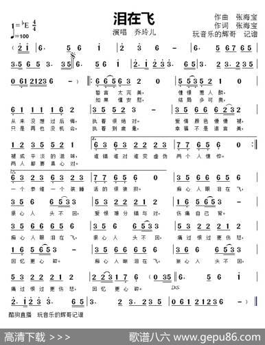 泪在飞（乔玲儿） - 张海宝|张海宝