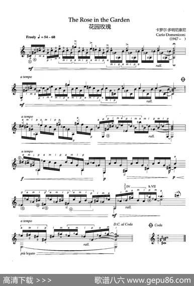 花园玫瑰（TheRoseintheGarden）|CarloDomeniconi