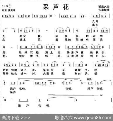 采芦花 - 贺东久|张卓娅
