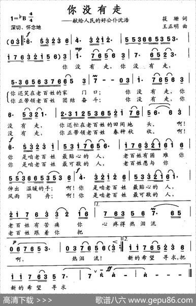 你没有走——献给人民的好公仆沈浩 - 筱珊|王正明