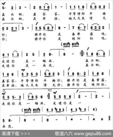 盖头帕 - 何荣国|辛发先