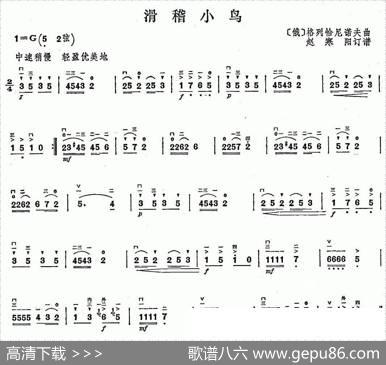 滑稽小鸟