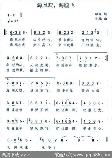 海风吹，海鸥飞 - 颂今|兆雄