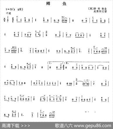 鳟鱼|舒伯特