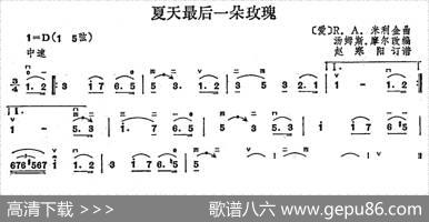 夏天最后一朵玫瑰（赵寒阳的订谱版）