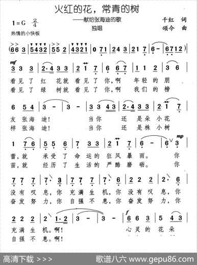火红的花，常青的树 - 千红|颂今