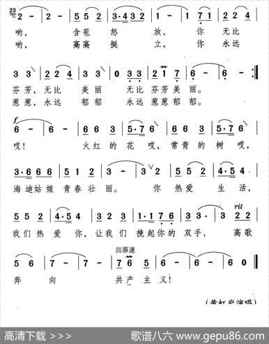火红的花，常青的树 - 千红|颂今