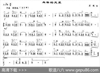 血染的风采|苏越