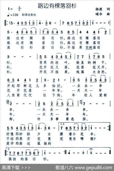 路边有棵落羽杉 - 杨渡|颂今