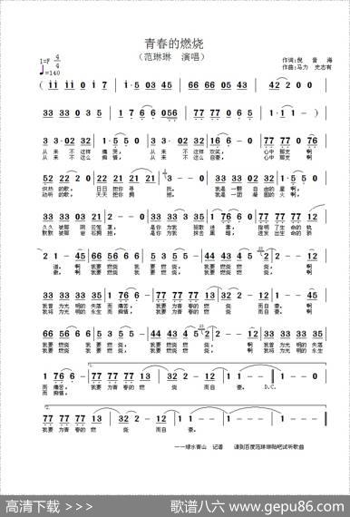 青春的燃烧