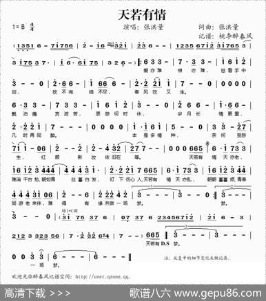天若有情（张洪量词张洪量曲） - 张洪量|张洪量