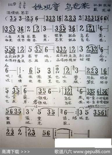 铁观音乌龙茶 - 孙新凯|戴亮