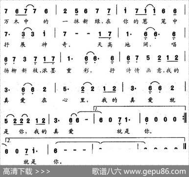 我的真爱就是你（电视剧《电视台的故事》片头曲） - 张中一|赵汀