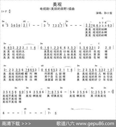 美观（电视剧《美丽的田野》插曲）
