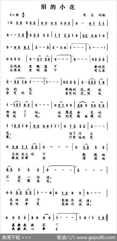 泪的小花