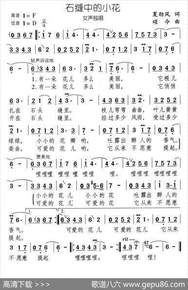 石缝中的小花（又名：石缝小花） - 夏劲风|颂今