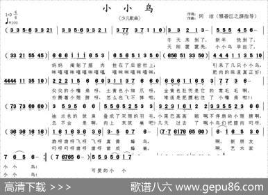 小小鸟