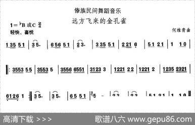中国民族民间舞曲选（十四、傣族舞蹈：远方飞来的金孔）|何维青