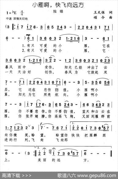 小雁啊，快飞向远方 - 王天保|颂今