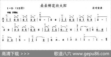 朵朵鲜花向太阳