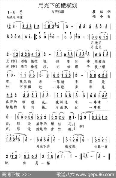 月光下的橄榄坝 - 瞿琮|颂今