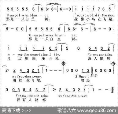 PALOMABLANCA（白兰鸽）（中英文对照版）
