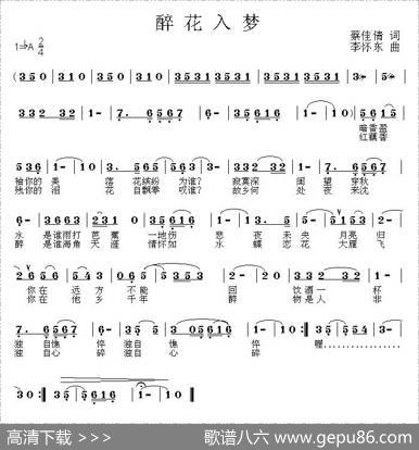 醉花入梦 - 蔡佳倩|李怀东
