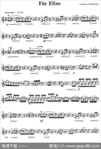 FǘrElise（致爱丽丝）|贝多芬（Beethoven）
