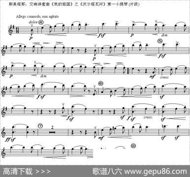 斯美塔那：交响诗套曲《我的祖国》之《沃尔塔瓦河》第一小提琴（片段）