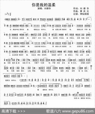 你是我的温柔 - 刘德华|黄庆元